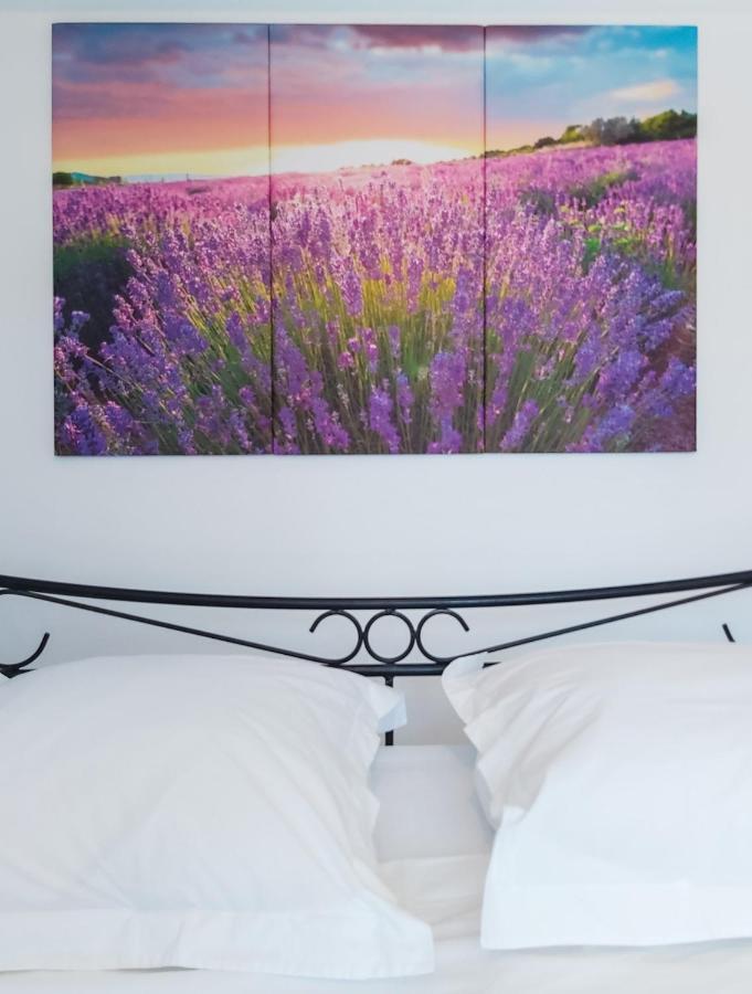 Etoilevacances Chambres D Hotes Campagne En Lavande Saint-Cezaire-sur-Siagne Luaran gambar